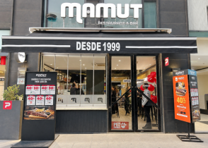 Mamut_Ibis_Budget_Santiago_Providencia_1